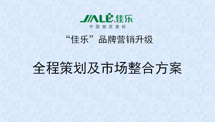 2013年3月18日正睿专家老师向佳乐项目董事長(cháng)陈述调研报告