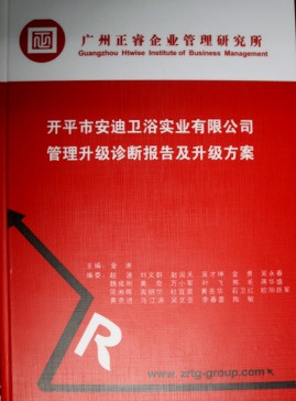 《开平市安迪卫浴实业有(yǒu)限公司管理(lǐ)升级诊断报告及升级方案》