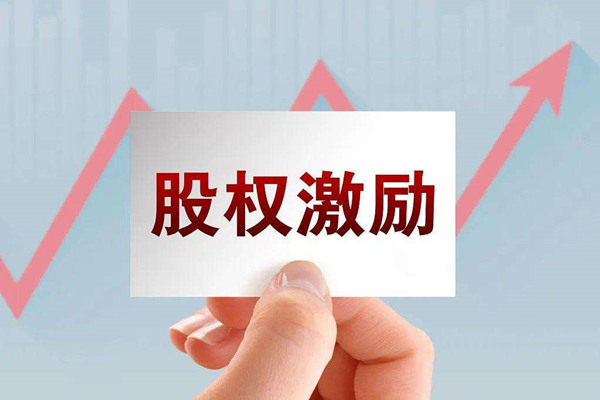 非上市公司為(wèi)什么要实施股权激励？