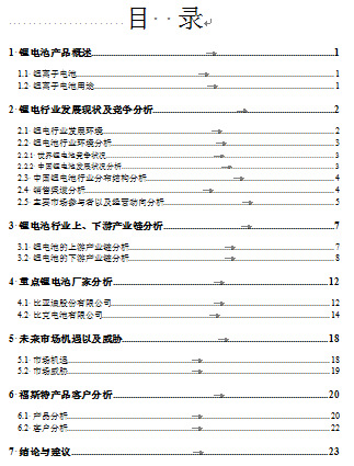 《福斯特集团调查报告书》