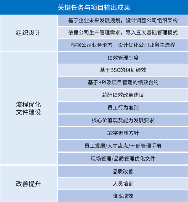 管理(lǐ)升级关键任務(wù)与项目输出成果